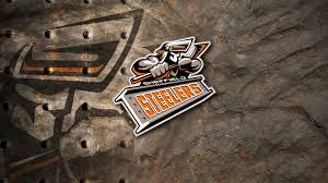 Tons of awesome steelers background to download for free. Steeler Background 72 Images