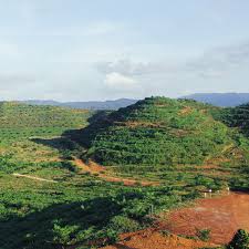 For more information and source,. Koperasi Ladang Berhad
