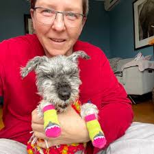 Bow Wow Fashions, LLC