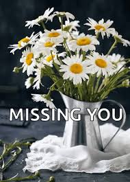 High quality i'm missing you flower arrangement with seasonal flowers. Missing You Flowers Gif Missingyou Flowers Missing Discover Share Gifs