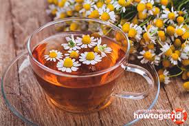 Check spelling or type a new query. Bagaimanakah Teh Chamomile Berguna