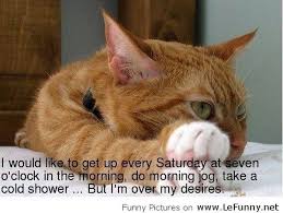 See a funny saturday quotes photo you like? Happy Saturday Images Funny Novocom Top
