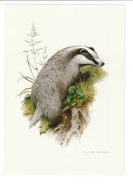 Vintage Print Das In 2020 Vintage Prints Illustratie Dieren Prints