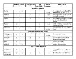 Cell Components And Functions Chart Bedowntowndaytona Com