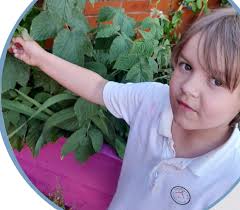 someone got it:) thank you all earlier this year someone dumped this  outside our house, i decided to stick it in our garden as we're students  and don't have much furniture, my