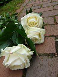 Check spelling or type a new query. Wausau Area Obituaries Oct 2 Wausau Pilot Review