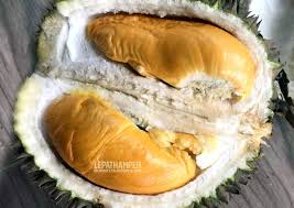 Durian udang merah bukan durian kat lauh eh. Rare Durian Tok Merah Damak Duriotourism Durian Lovers