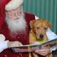 Pet Nights with Santa at Kierland Commons event in Scottsdale, AZ