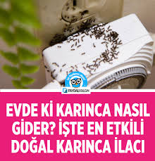Faydali Bilgiler Useful Information Panosundaki Pin