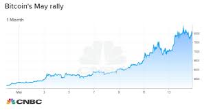 bitcoin emerges as the big winner this month in the