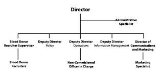 file blood distribution org chart apr10 jpg wikipedia