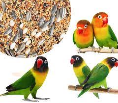 Peaches are among our favorite lovebirds. Buy Colourful Natural Healthy Premium Birds Food For All African Lovebirds Blue Lovebird Lutino Lovebird Masked Lovebird Peach Faced Lovebird Etc Daily Birds Food Seed Mix 1 8kg Online At