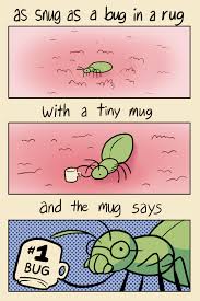 Snug Bug Rug Mug Some Jokes Funniest Pictures Ever Funny Pictures