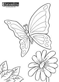 Cara membuat hiasan dinding kupu kupu sederhana dan. 100 Sketsa Kupu Kupu Mudah Simple Cantik Berwarna