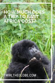 Book & save today on airfares. How Much Does A Trip To Africa Cost Twirl The Globe