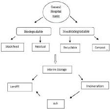 hospital waste management flow chart classification of bio