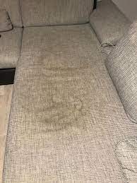 Ist das ungeschick passiert, sollte zunächst folgendes getan werden: Sofa Polster Reinigen Urin Caseconrad Com