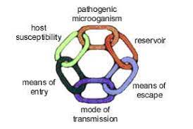 Transmission Of Infection Online Infection Control Course New York State Approved Access Continuing Education