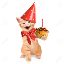 Sonriente Gato Gatito Feliz Cumpleanos Aislado En El Fondo Blanco Fotos Retratos Imagenes Y Fotografia De Archivo Libres De Derecho Image 30872945