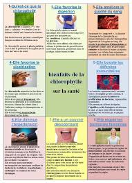 Bienfaits De La Chlorophylle