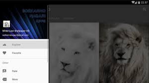 Here you can get the best wallpapers of white lion for your desktop and mobile devices. Download White Lion Wallpaper Hd Free For Android White Lion Wallpaper Hd Apk Download Steprimo Com