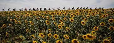9 Beautiful Stops On The 2020 Tour De France Route To Explore France