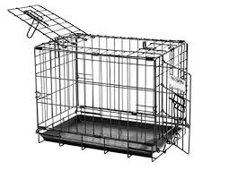 Petmate Provalu Wire Dog Crate Two Doors Precision Lock System 6 Sizes Learn More By Visiting The Image Link This Is Wire Dog Crates Dog Crate Dog Diapers