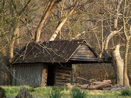 If you've got that aging parent or grandparent that needs a place to live, build it with one of these very affordable and easy to use. Into The Woods What S A Wellhouse And What S A Pumphouse