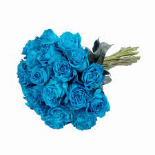 Check spelling or type a new query. Tinted Turquoise Roses 50 Cm Fresh Cut 75 Stems Walmart Com Walmart Com