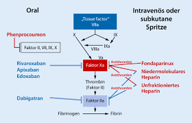Phenprocoumon proved to be a potent anticoagulant. Moderne Therapie Tiefer Venenthrombosen Und Der Lungenarterienembolie Springerlink