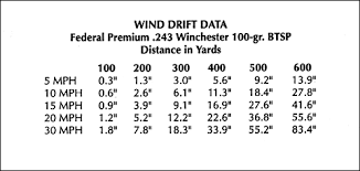 Determining Wind Values And Making Your Shots