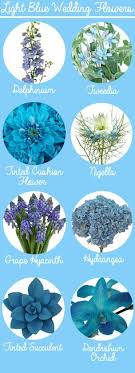 This anthocyanin is typically responsible for the color of red roses. 220 All About Plants Ideas Plants Planting Flowers Flower Names