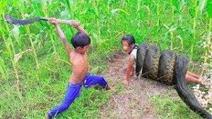 Tokeo la picha la big snake
