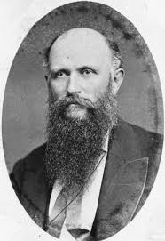 Henry Driver (1831-1893)