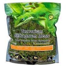 10 Fishies Ideas In 2020 Gecko Habitat Reptile Terrarium Gecko Terrarium