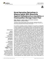 Image result for Maerua edulis