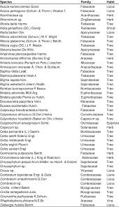 Image result for Chrysophyllum welwitschii