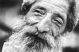 I Giganti della Sila srls