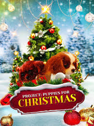 We did not find results for: Watch Project Puppies For Christmas Prime Video