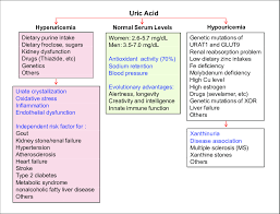 Human Serum Uric Acid Sua Homeostasis And Abnormal Changes Normal Download Scientific Diagram