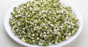 Can Pregnant Women Eat Bean Sprouts Babycenter