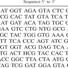 Image result for Ophrestia radicosa