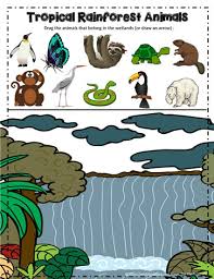 Dec 01, 2008 · this was used as an introduction to the rainforest in a fourth grade science unit on biomes. Tropical Rainforest Animals Google App Worksheets