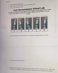 Dialysis virtual lab, biology, worksheet. Dialysis Virtual Lab Biology Worksheet Virtual Labs The Complete Guide To Virtual Labs Labster 333 Likes 5 Talking About This