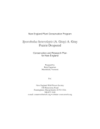 Image result for Sporobolus rigidifolius