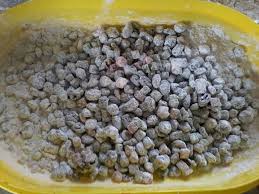 Kek buah kukus yang lembab dan enak. Resepi Kek Buah Kukus Azlina Ina