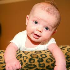 Kelly's Korner: March 2009