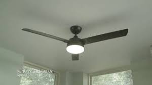 They are the extra stage boss of brilliant pagoda or haze castle on the neutral route. Fanimation Xeno Wet Ceiling Fan Youtube