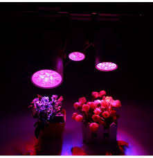 There is not just one difference between led lights and grow lights. 3w 7w 12w Led Plant Lights Grow Lamp Flood Supplementary Light
