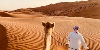 Not even a single second during your trip you will get bored. Dubai Premium Red Dunes Camel Safari Bbq At Al Khayma Getyourguide